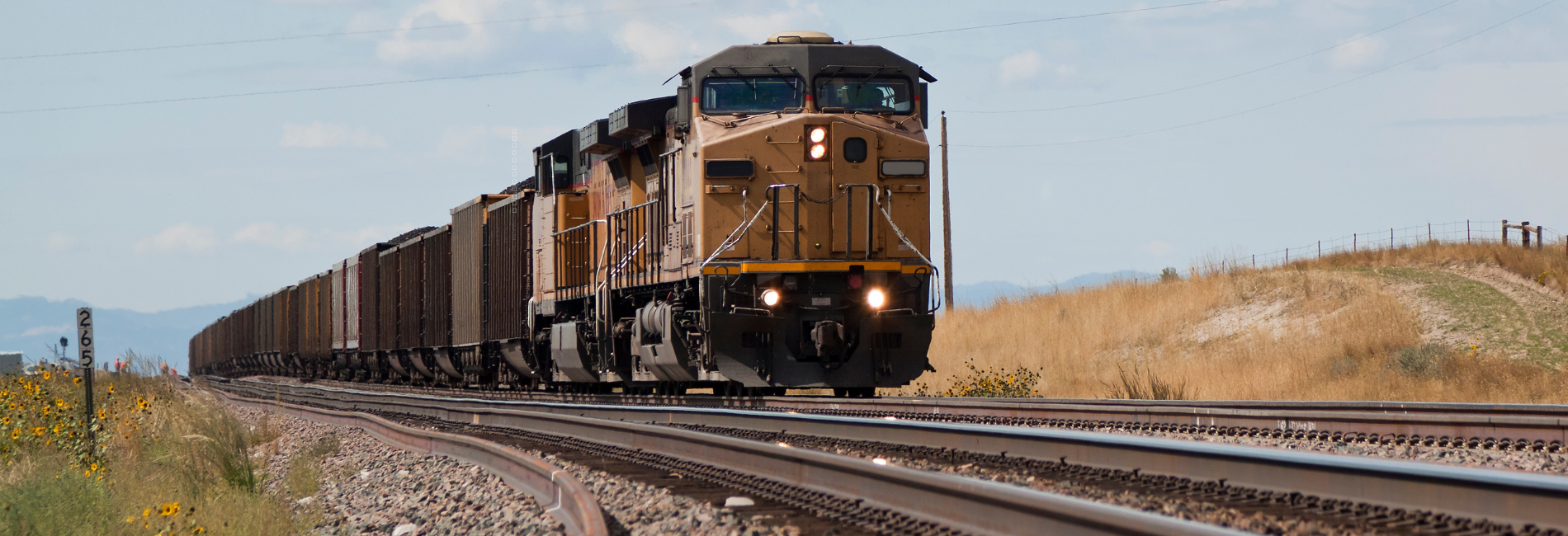 Train image